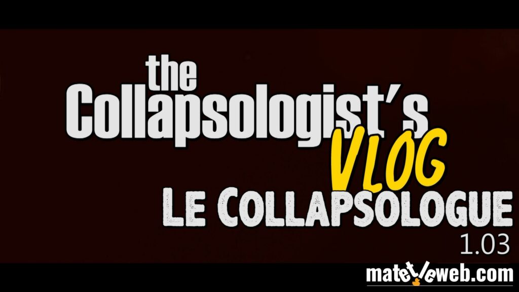 La Collapsologie : Mat into the forest | matetleweb.com