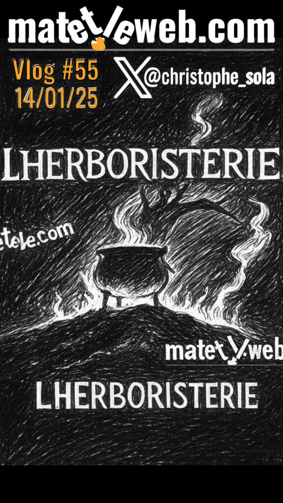 Verticales de l’Été 2025 – Épisode 55 | Herboristerie : renaissance d’un savoir ancestral